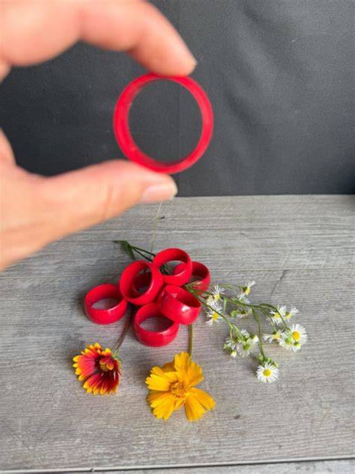 Details: She&nbsp;added several red rings on her fingers